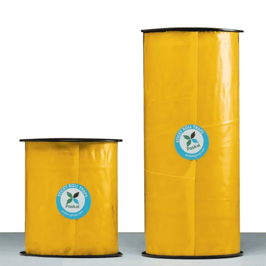 Sticky Roll 30 cm x 100 m — Paskal Adhesive Trap