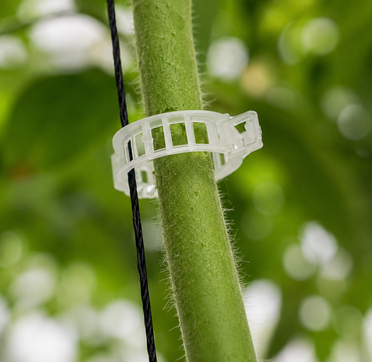 Tomato Support Clip 23 mm — GD Plastics